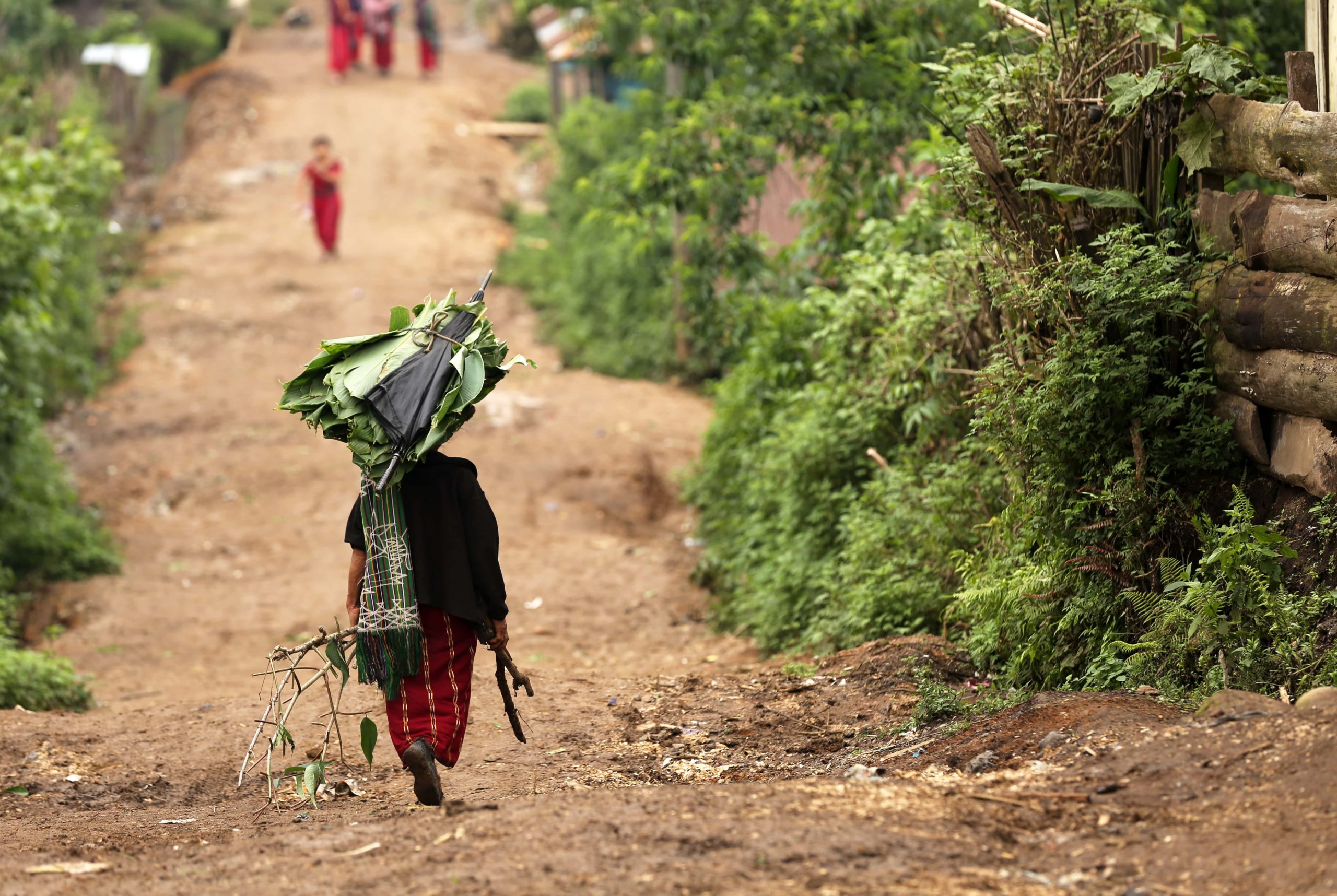 A community member in Guatemala walks down a dirt path carrying leaves and branches.