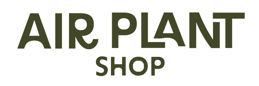Logo for Air Plant Shop